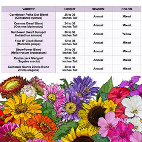 Seed Needs California Giants zinnia creates tall focal blooms in beds.