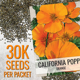 Seed Needs California Poppy bluish-green foliage resembling delicate ferns