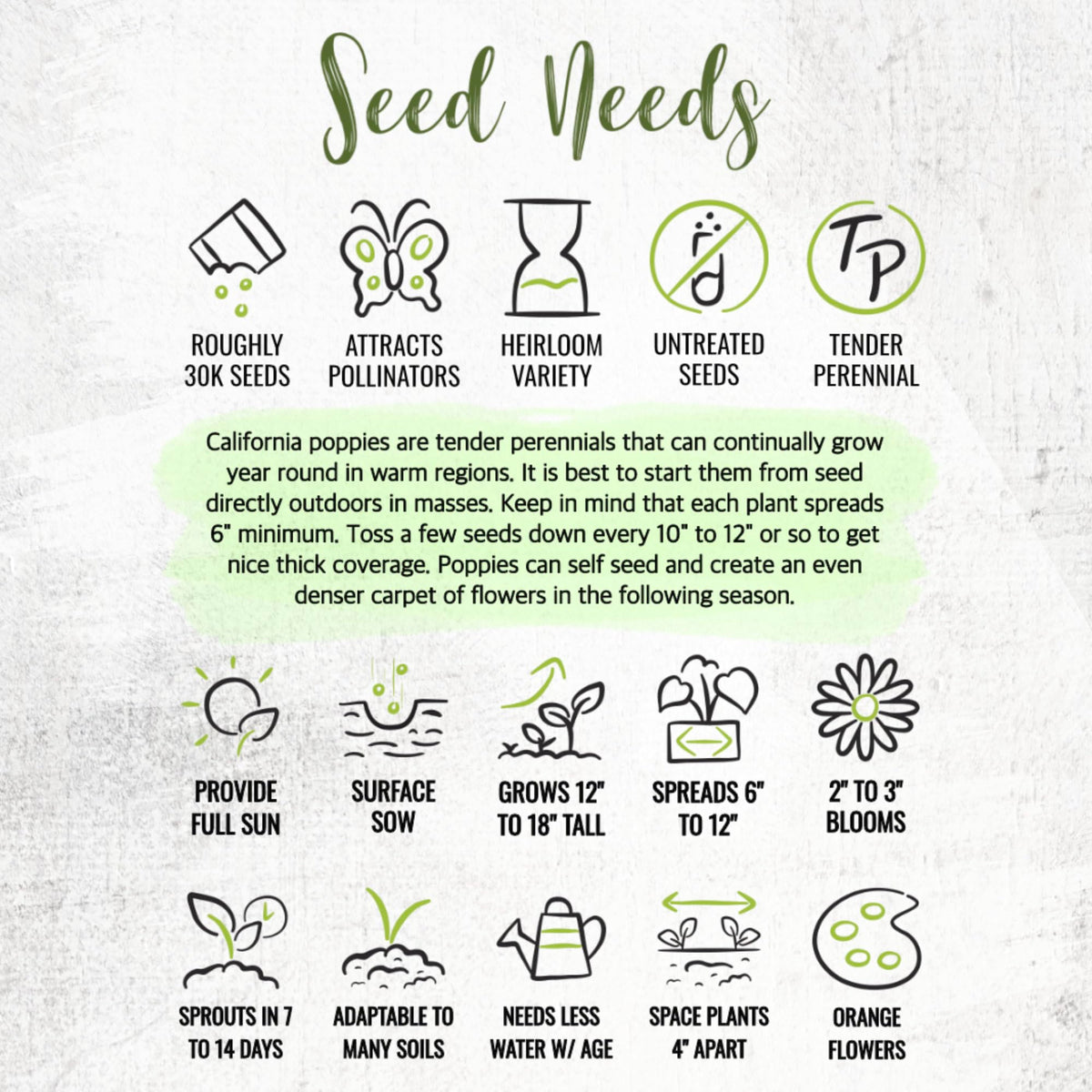 Seed Needs California Poppy supports pollinators in home gardens