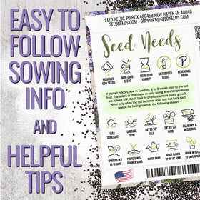 Seed Needs Catmint flower clusters attracting bees