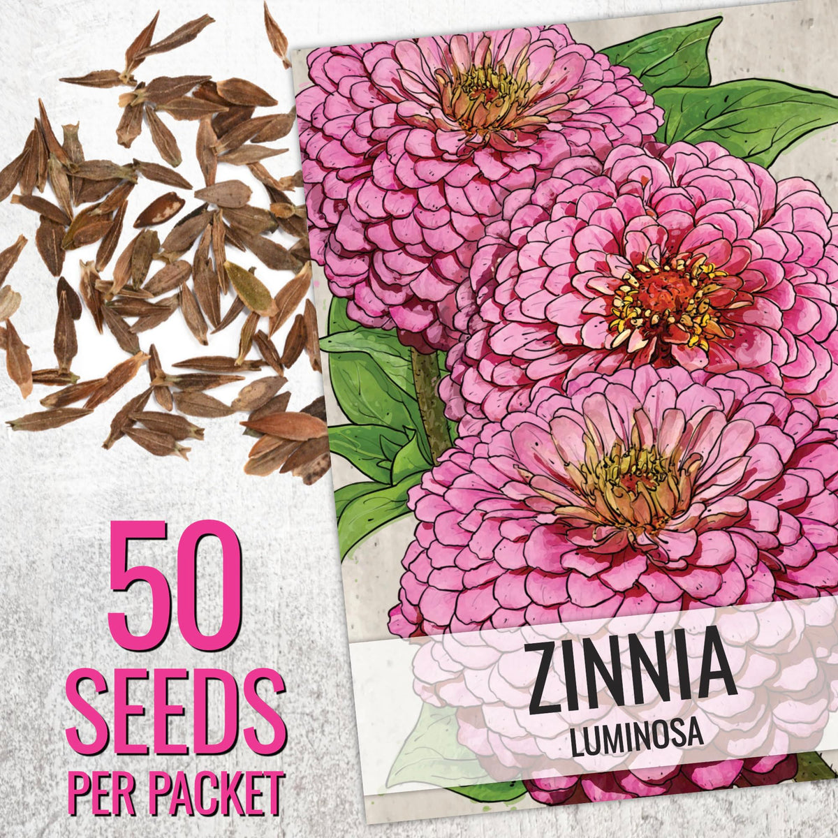 Seed Needs Cherry Queen zinnia bloom adds vibrant red color to borders