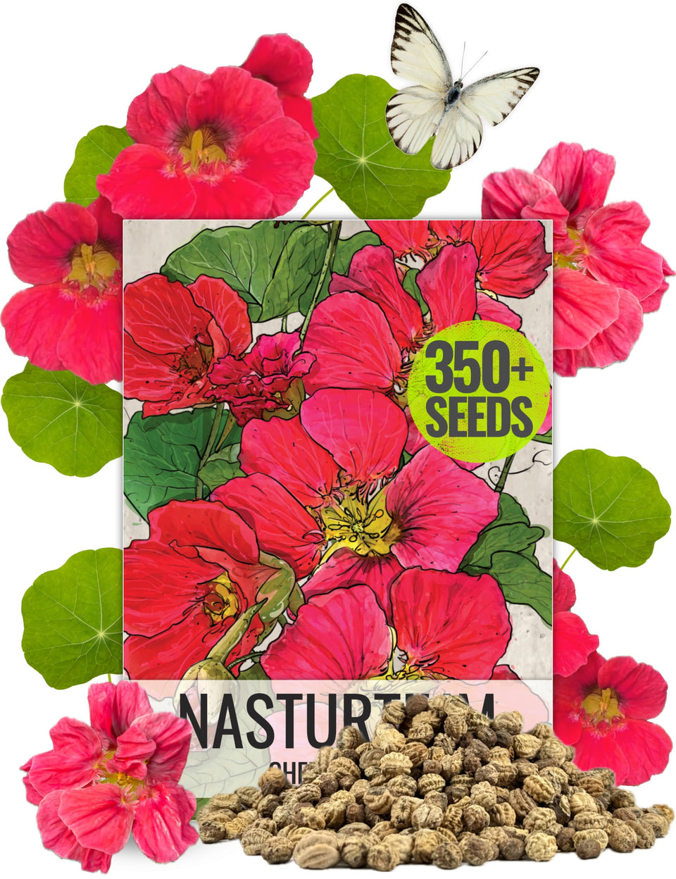 Seed Needs Cherry Rose nasturtium bloom brightens borders and attracts pollinators.
