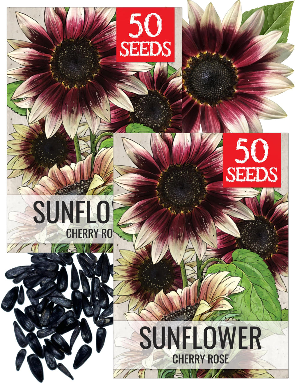 Seed Needs Cherry Rose Sunflower seeds pack ready for home planting