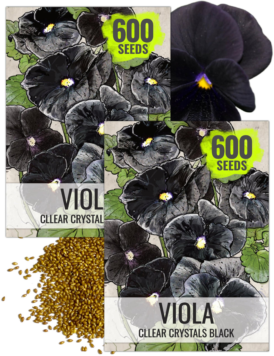 Seed Needs Clear Crystals Black Pansy bloom adds dramatic contrast for borders.