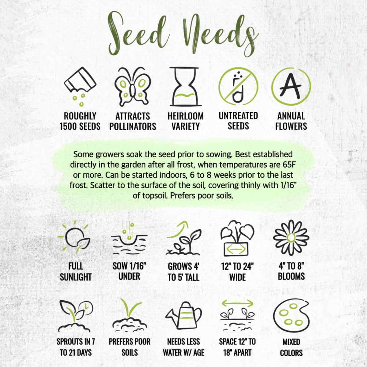 Seed Needs Cleome border or container planting idea illustrates versatile use.