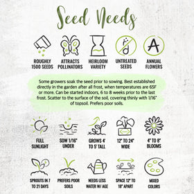 Seed Needs Cleome border or container planting idea illustrates versatile use.