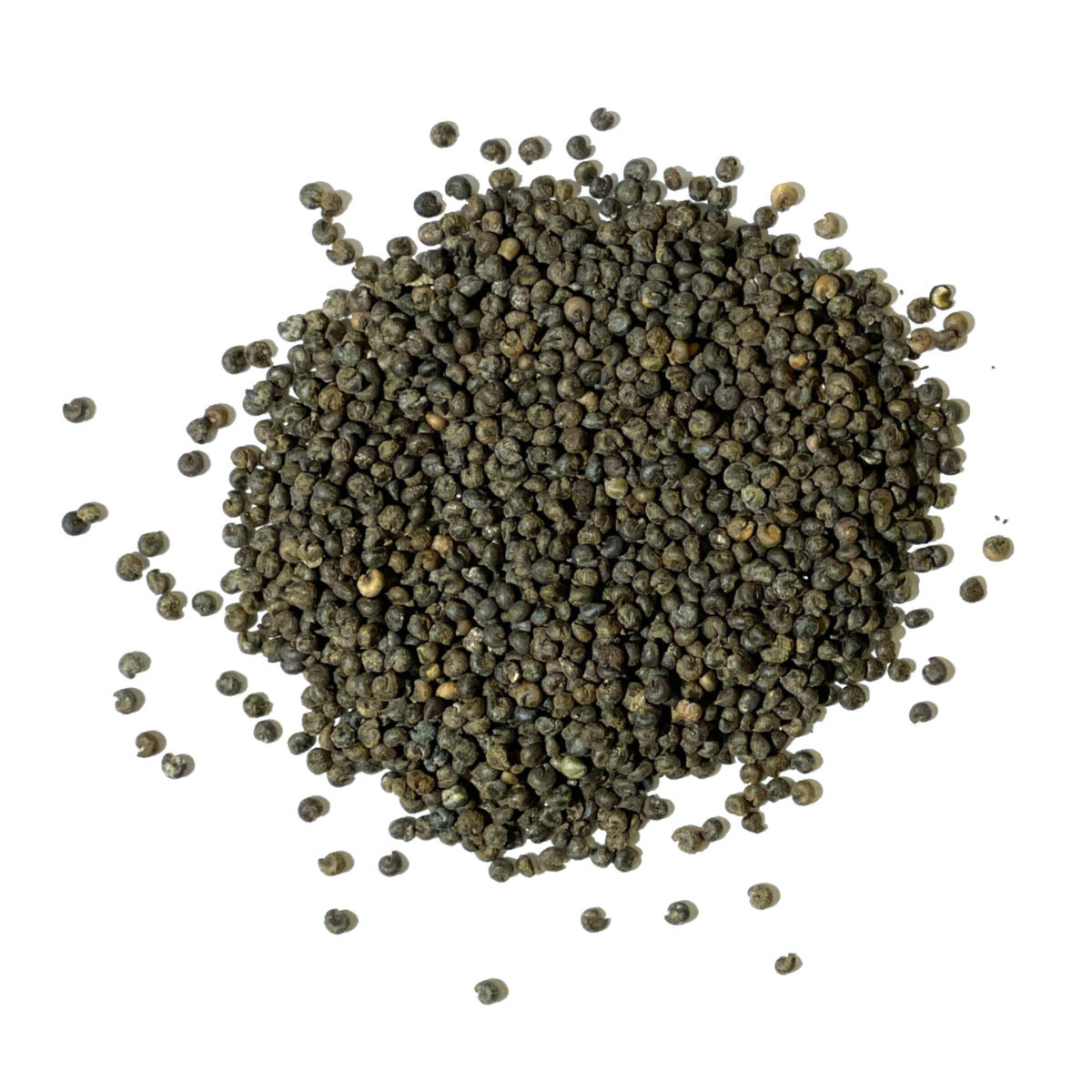 Seed Needs Cleome shows sun loving growth in full sun and well drained soil.