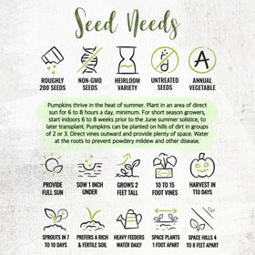 Fresh Seed Needs Connecticut Field Pumpkin packaging protects seeds for storage