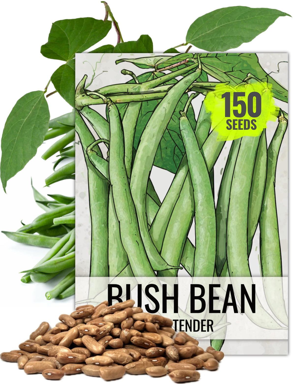 Seed Needs Contender bush bean seed packet for quick harvest and home garden use.