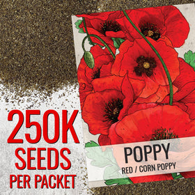 Seed Needs corn poppy seeds in a vibrant field bloom for color inspiration