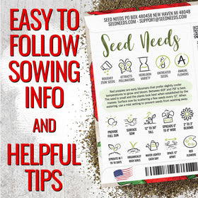 Seed Needs corn poppy seeds red blooms closeup show delicate papery petals