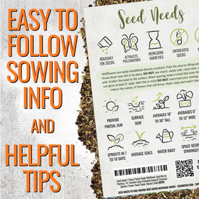 Seed Needs cornflower and forget-me-not seeds add vibrant blues and whites.