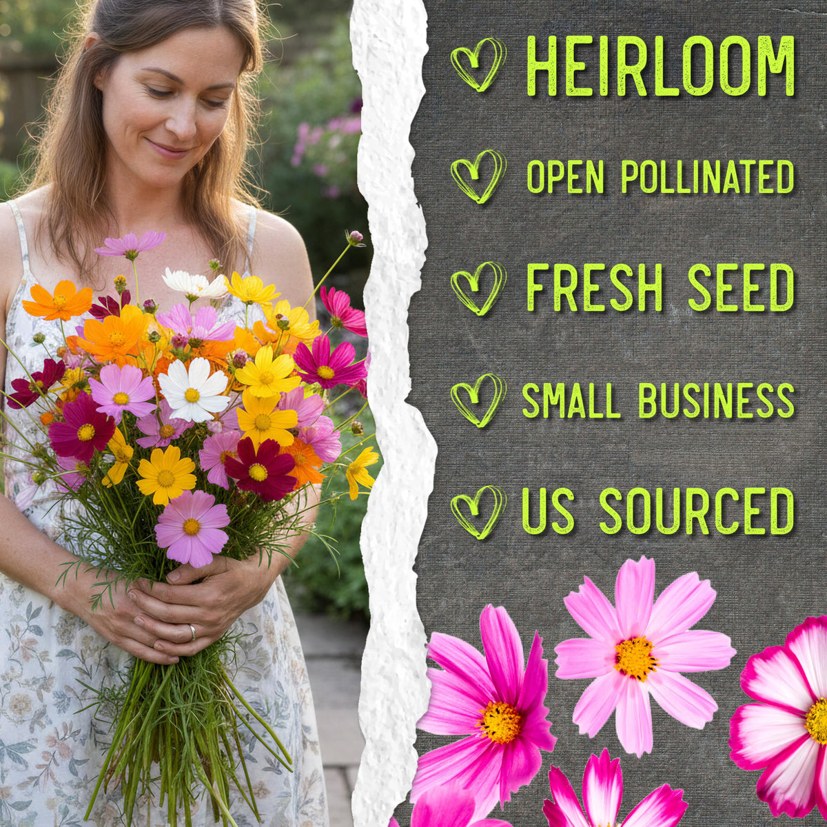 Resealable packaging keeps Seed Needs Cosmos seeds fresh