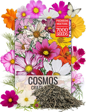 Seed Needs Cosmos Crazy Blend packaging art and seed information in one image.