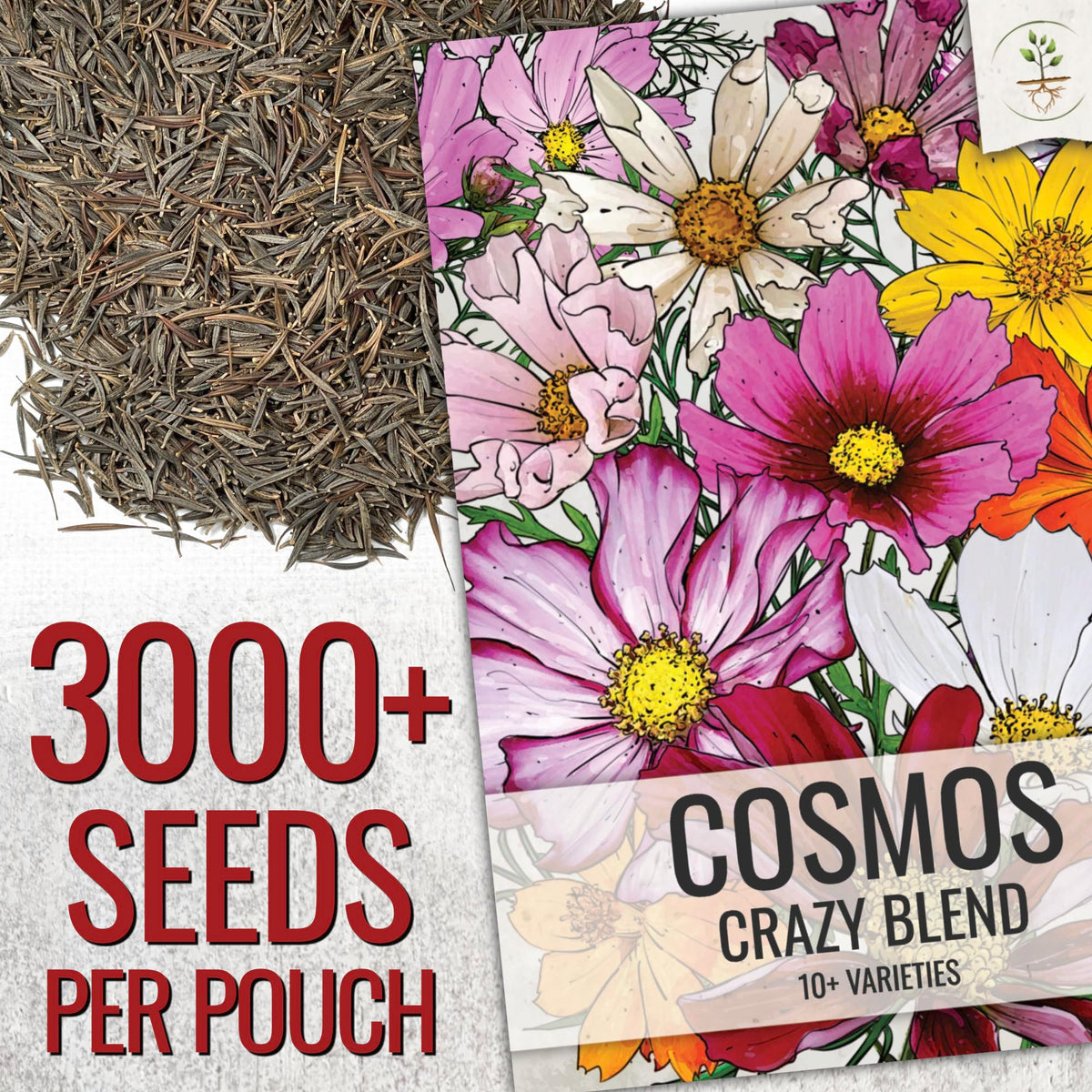Seed Needs Cosmos Crazy Blend attracts bees and butterflies in sunlit beds