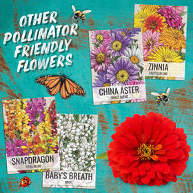 Bulk cosmos seed mix provides rich color for pollinator habitats