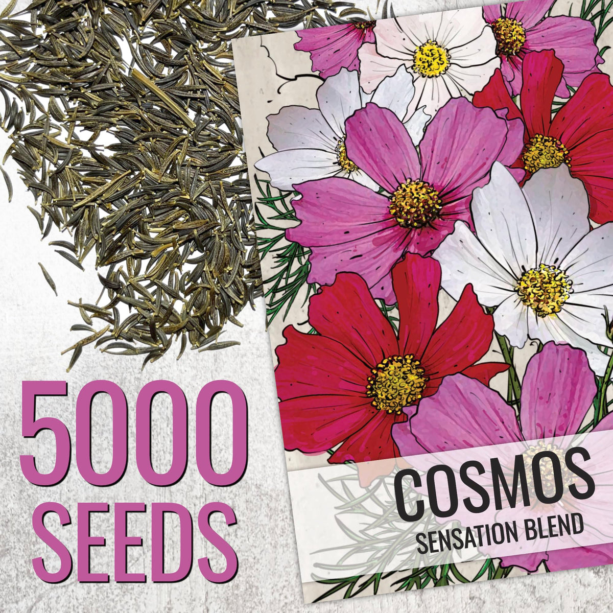 Seed Needs Cosmos Mix seed packets closeup demonstrates open-pollinated seeds for diverse gardens.