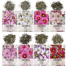 Seed Needs Cosmos Radiance seed packet promises tall, colorful blooms for dramatic backdrop plantings.