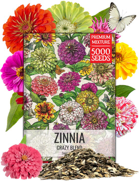 Seed Needs Crazy Zinnia Mix blooms in vibrant colors for borders and bouquets
