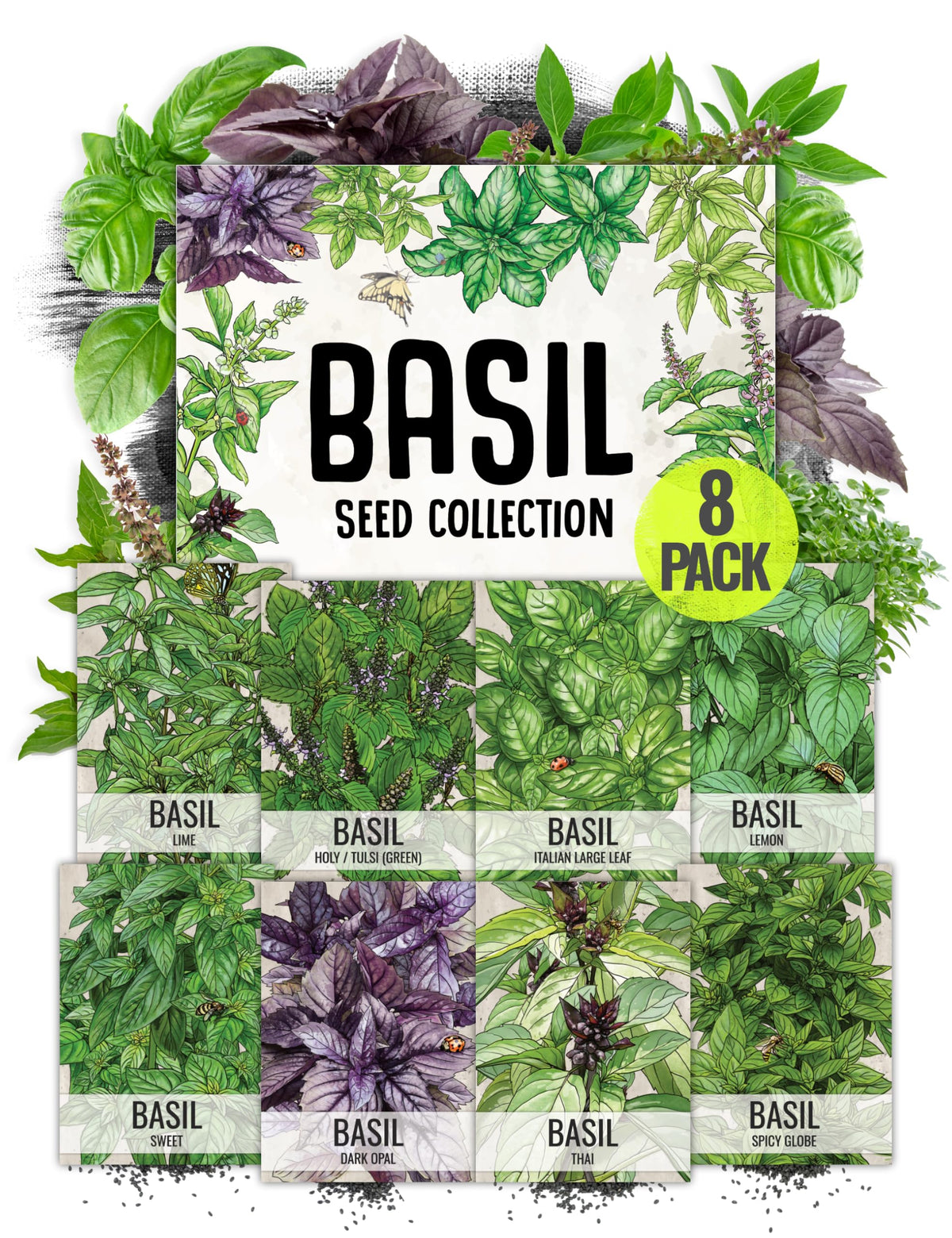 Seed Needs Culinary Basil varieties packets ready for planting in a home garden.
