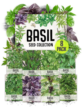 Seed Needs Culinary Basil varieties packets ready for planting in a home garden.