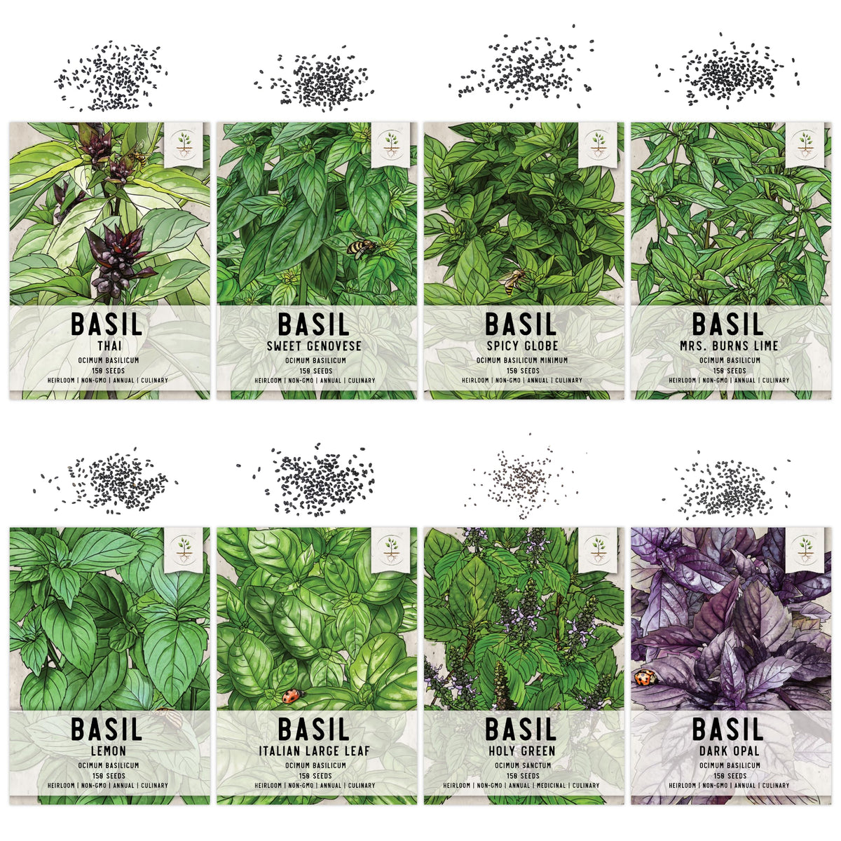 Seed Needs Culinary Basil seed packets close-up highlighting freshness for reliable germination.