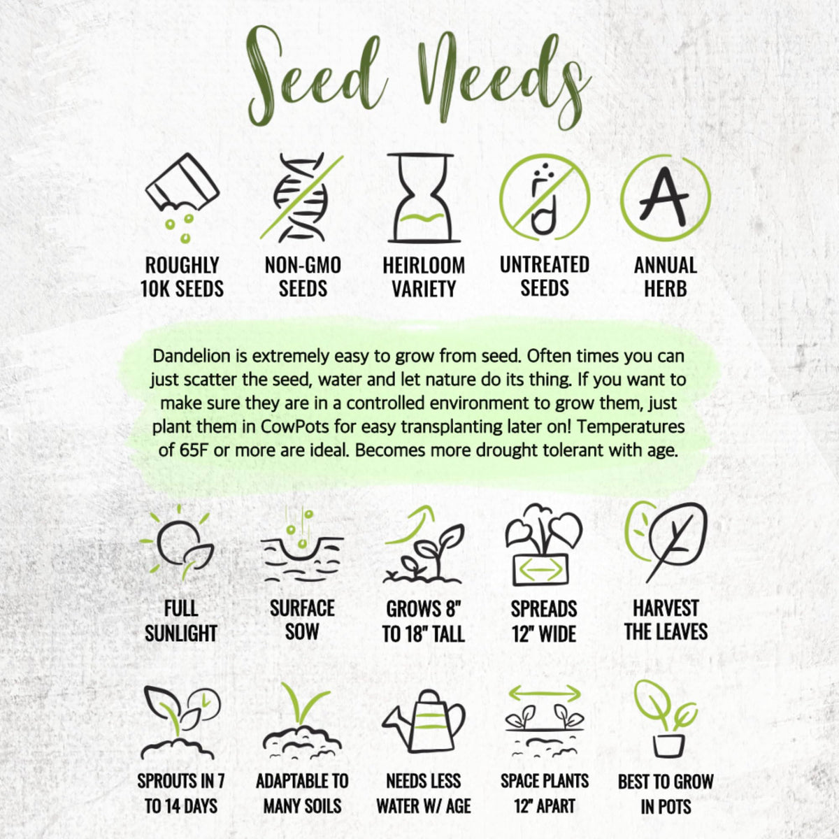 Seed Needs dandelion seeds fresh from growers for quick results