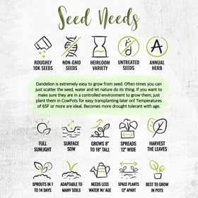 Seed Needs dandelion seeds fresh from growers for quick results