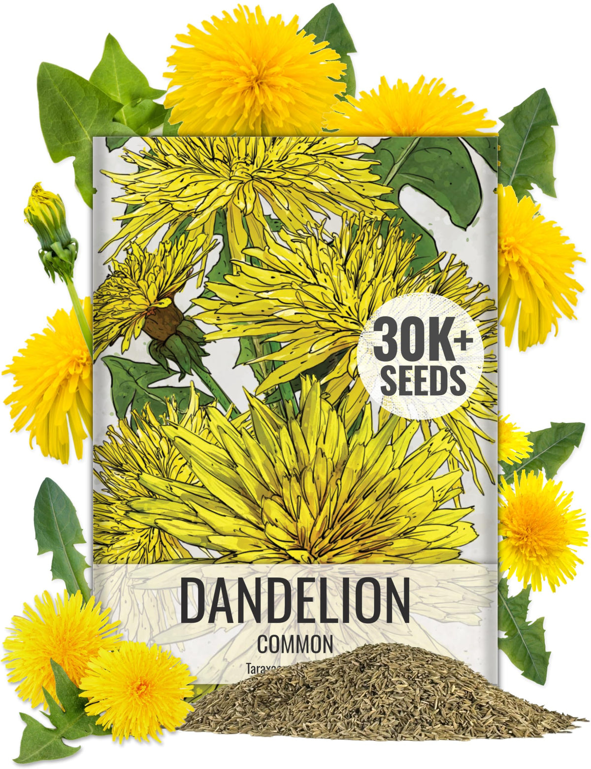 Seed Needs dandelion seeds front pack, ideal for bulk planting and planning.