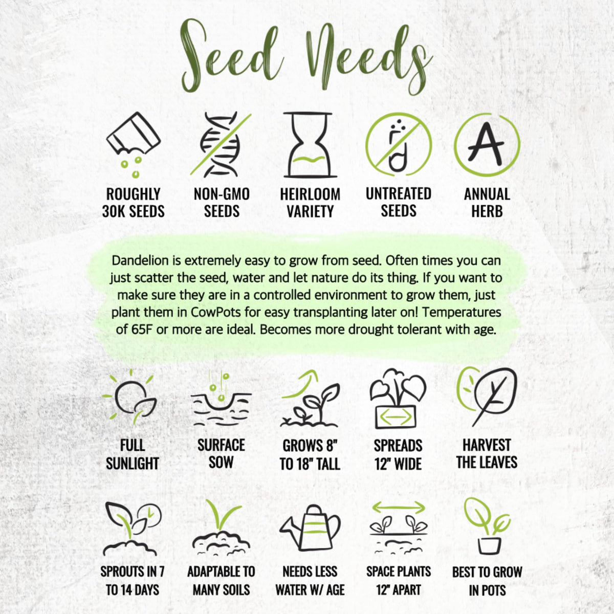 Seed Needs dandelion seeds in garden setup for sun or partial shade.