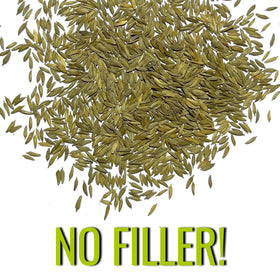 Seed Needs dandelion seeds illustrated packets with sowing directions for beginners