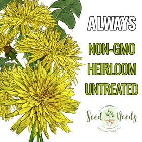 Seed Needs dandelion seeds untreated packaging keeps freshness for reliable germination