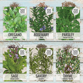 Seed Needs dill seeds pack for bright flavor in meals