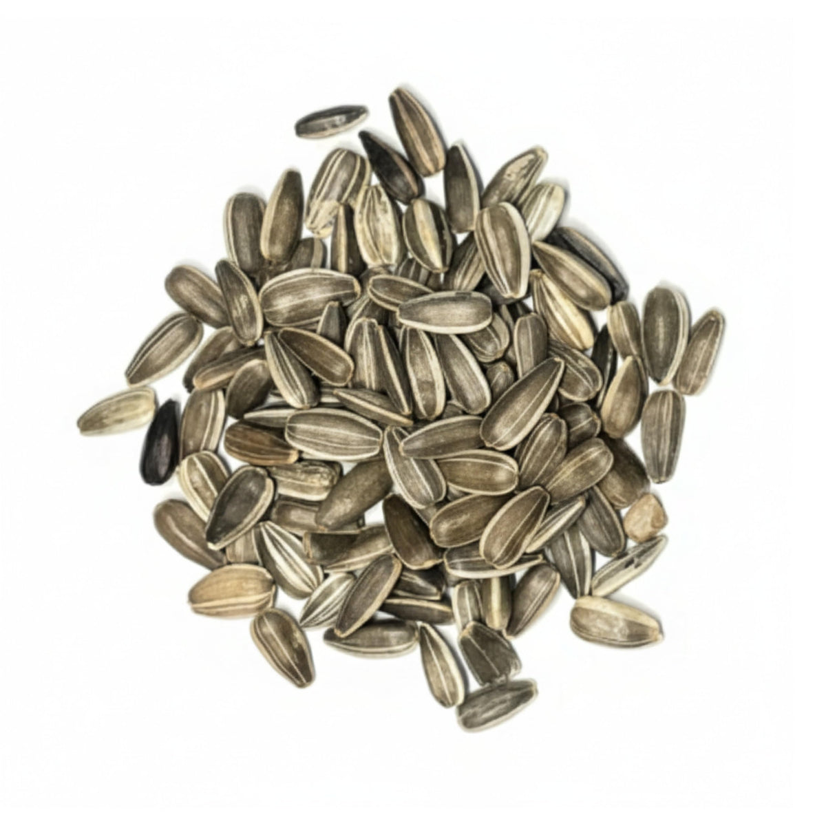 Seed Needs Dwarf Sunspot attracts bees and butterflies for healthy pollination.