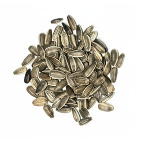 Seed Needs Dwarf Sunspot attracts bees and butterflies for healthy pollination.