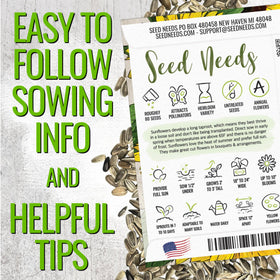 Seed Needs Dwarf Sunspot remains compact at 1 to 2 feet, ideal for containers.