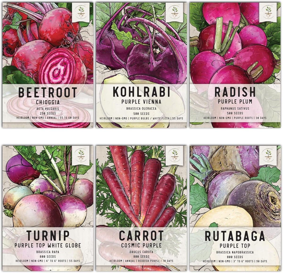 Seed Needs edible roots variety pack front view for home garden planting and fresh produce.