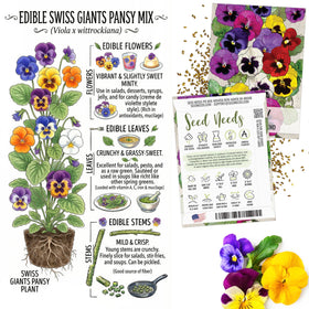 Seed Needs Jewel Nasturtium blossom for colorful edible petals.