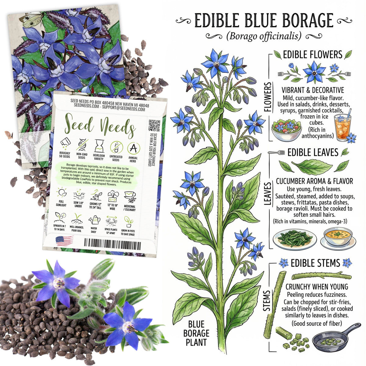 Seed Needs Johnny Jump Up viola flower for edible garnish.