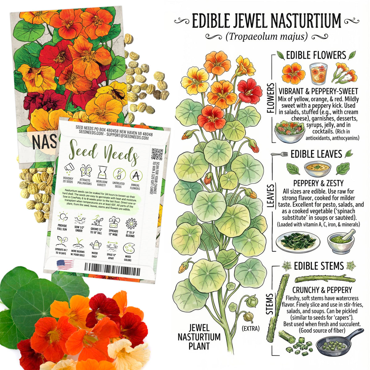 Seed Needs Pacific Beauty Calendula bloom for salad color.