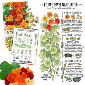 Seed Needs Pacific Beauty Calendula bloom for salad color.