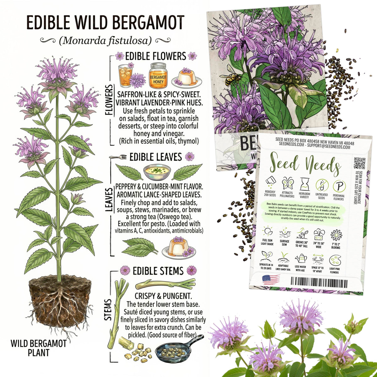Seed Needs Swiss Giants Pansy bloom for vibrant garden color.