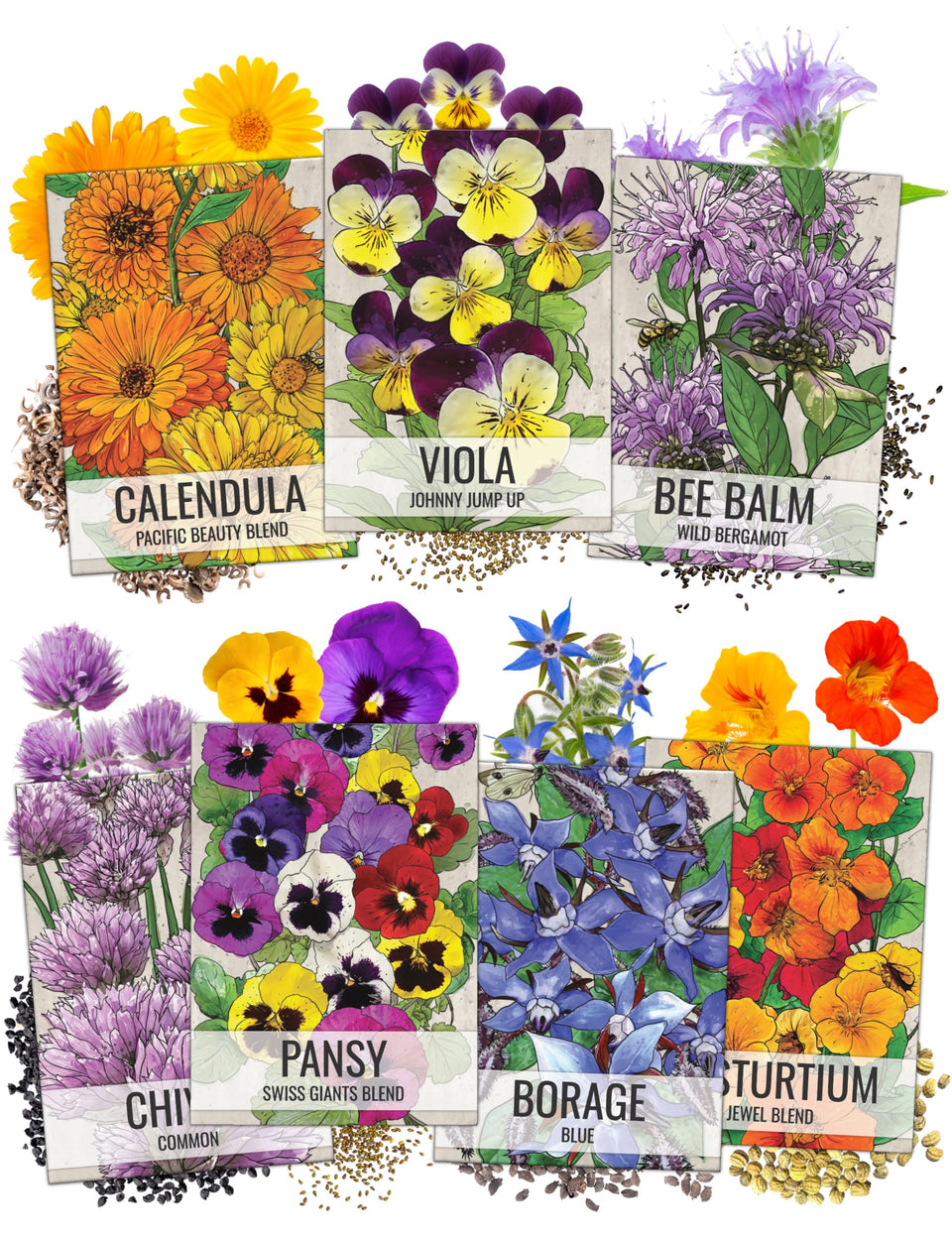Seed Needs Viola bloom close-up for vibrant edible garnish.
