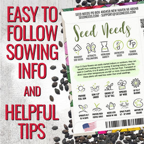 Seed Needs Four O'Clock seeds mixed colors pack back shows sowing instructions for confident planting.