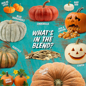 Seed Needs garden germination guide image promotes fresh seeds from growers