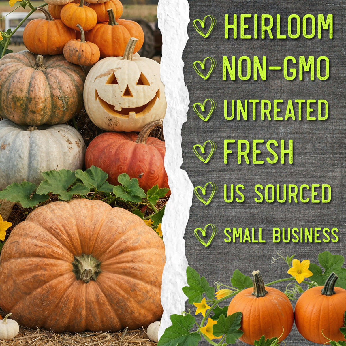 Seed Needs harvest days infographic helps plan 90 to 125 day harvest