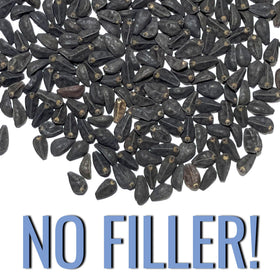 Seed Needs Heavenly Blue Morning Glory seeds bulk packaging for sharing