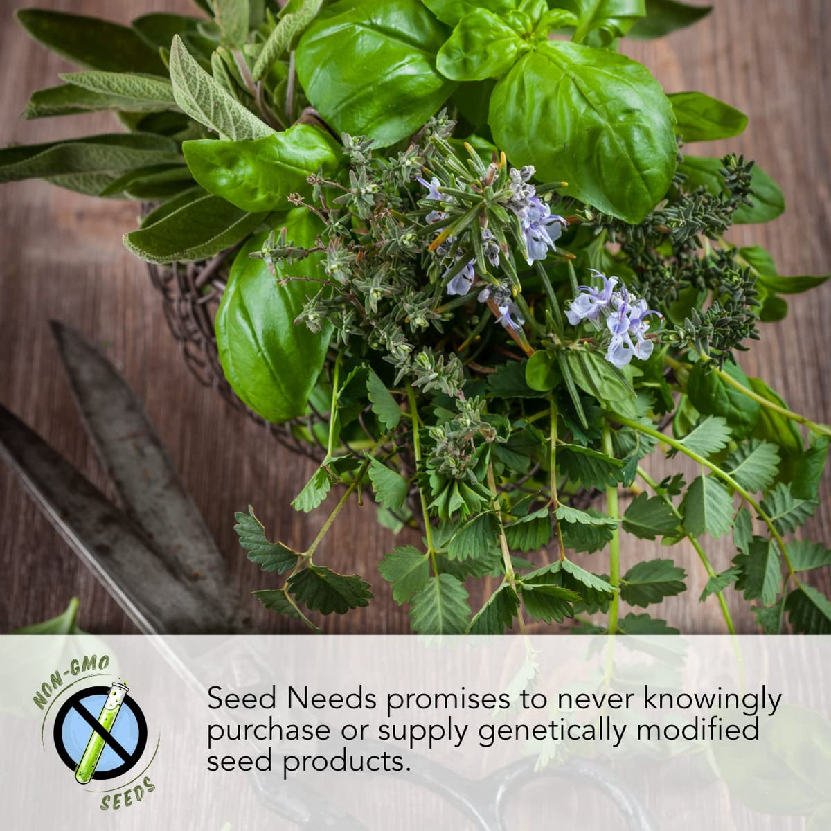 Seed Needs heirloom dandelion collection image emphasizes diverse seed heritage for long-term planting