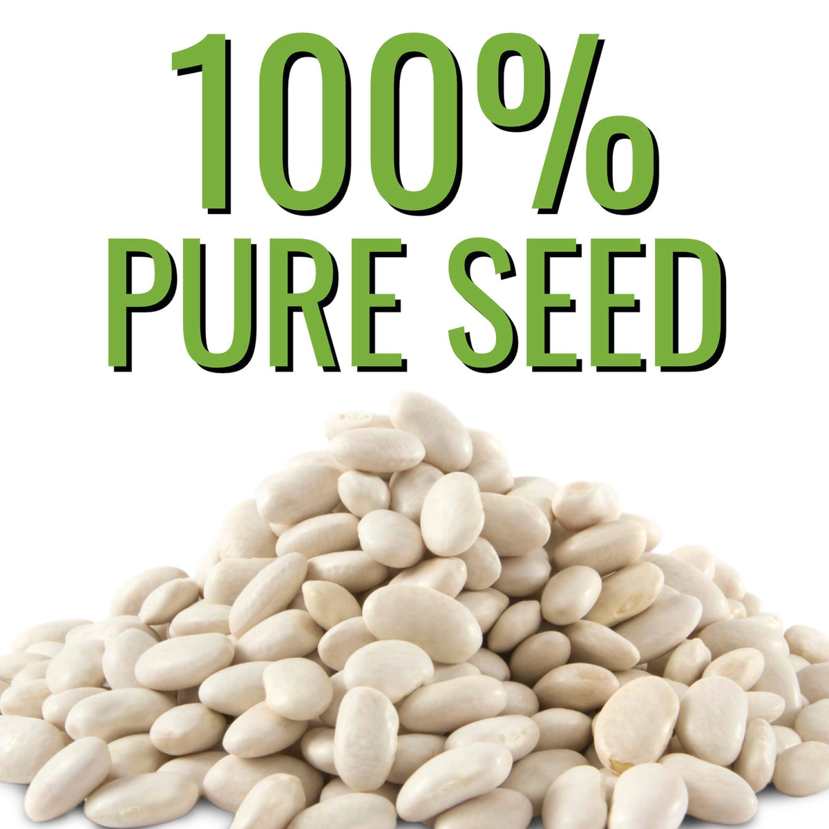 Seed Needs Henderson Lima beans creamy white beans ready to cook.