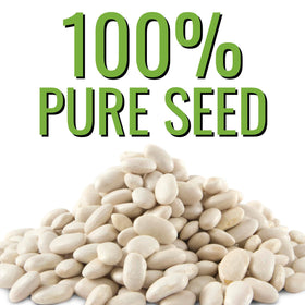 Seed Needs Henderson Lima beans creamy white beans ready to cook.
